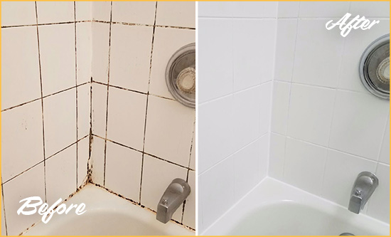 Before and After Picture of a Morrison Shower Tile and Grout Cleaned to Eliminate Mold