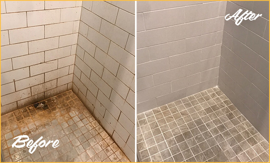 Before and After Picture of a Golden Shower Tile and Grout Cleaned to Eliminate Mold and Stains