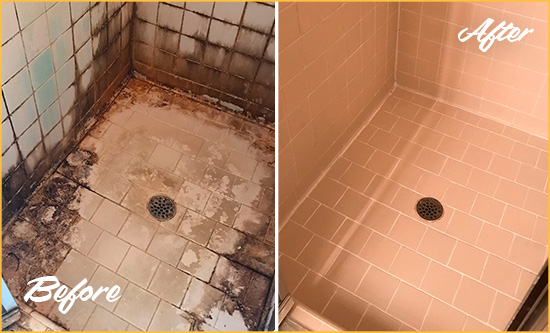 Before and After Picture of a Evergreen Ceramic Shower Cleaned to Remove Grime